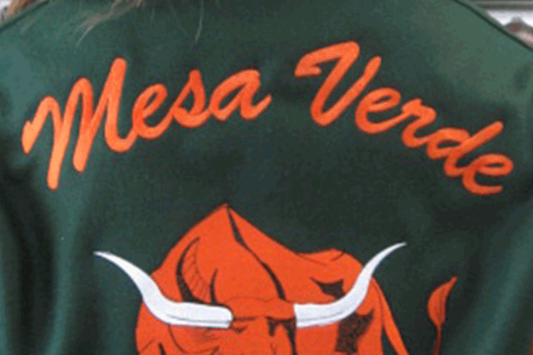 Mesa Verde High School